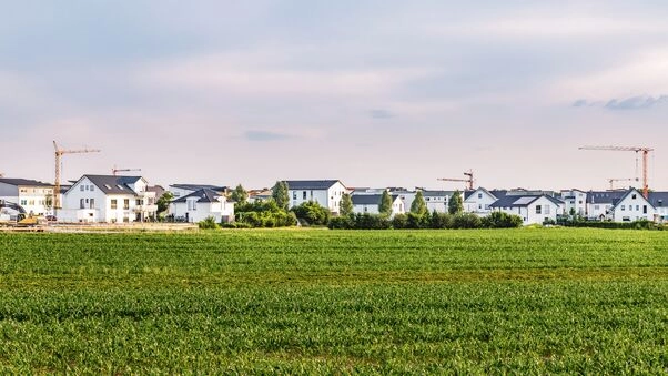 Ein Neubaugebiet von einem Feld aus betrachtet, welches das Thema Immobilienpreise symbolisiert.