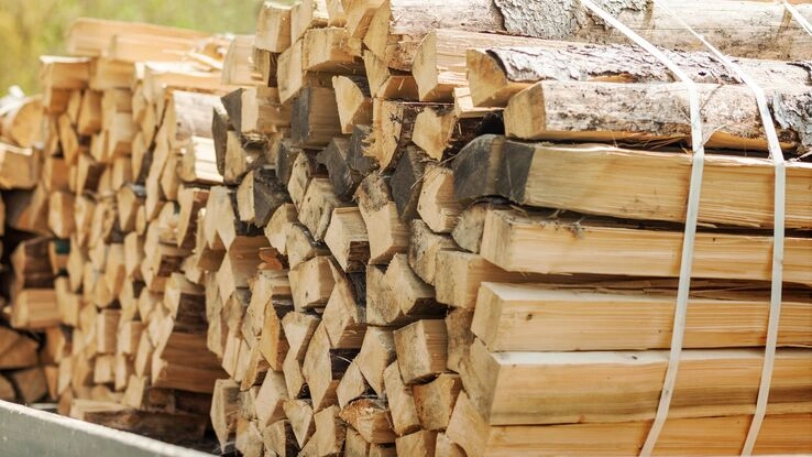 Holz ist mittlerweile eine knappe Ressource