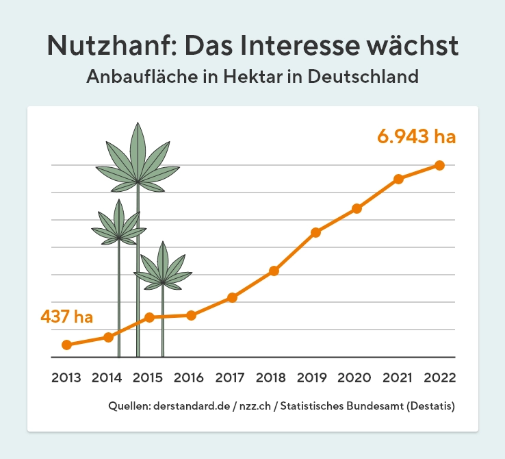 Das Interesse an Nutzhanf wächst.