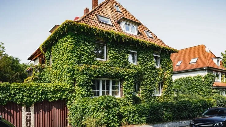 Das Foto zeigt ein Einfamilienhaus welches mit Efeu zugewachsen ist.