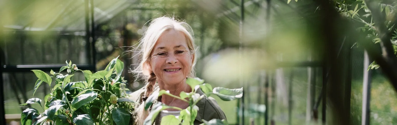 Eine Dame kauft Pflanzen für Ihren Außenbereich.