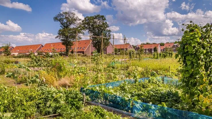 Ein Garten mit vielen Pflanzen und Gewächsen.