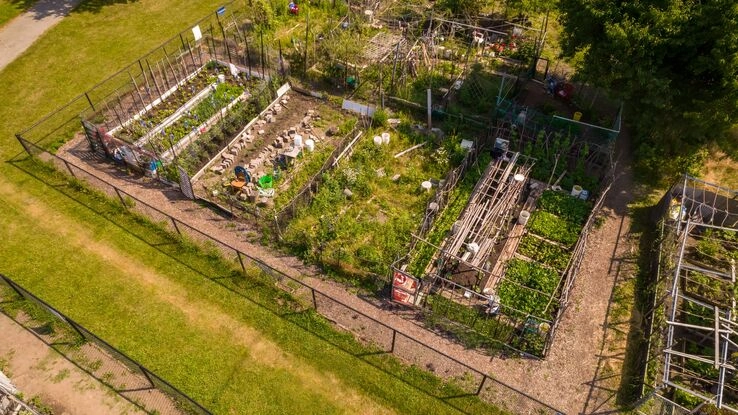 Ein Foto von einem Gemeinschaftsgarten.