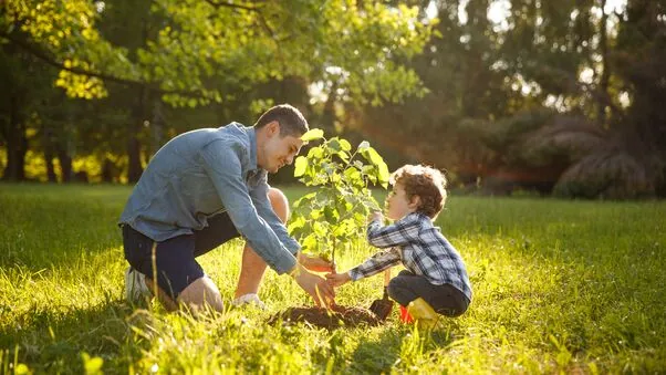 Ein Vater und sein Sohn planzen ein kleines Bäumchen als Kompensation für CO2-Emissionen.