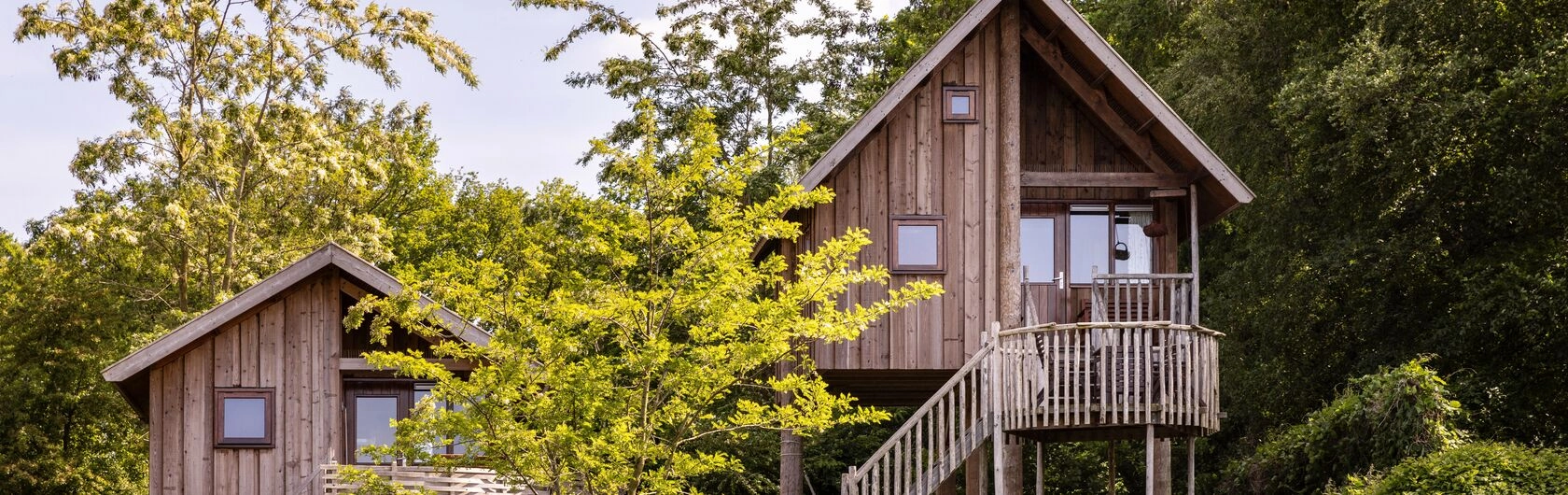 Nachhaltige Holzbauten im Grünen zwischen Bäumen.